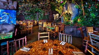 A dining room decorated with tropical foliage inside Rainforest Cafe at Disney’s Animal Kingdom theme park