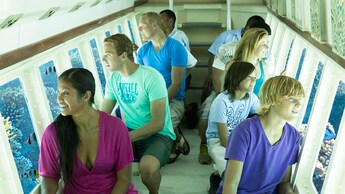 Personas sentadas frente a peces tropicales y arrecifes de coral a través de las ventanas