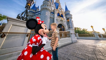 Minnie Mouse greeting a child in front of Cinderella Castle at Magic Kingdom park