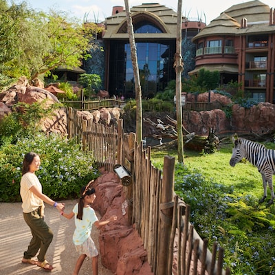 Mother and daughter meets zebras at Disney's Animal Kingdom Lodge