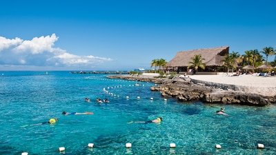 Snorkelers swim in front of a rocky shoreline with a large thatched hut and palm trees on it
