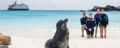 A family of four watching a sea lion on the beach with a ship in the background