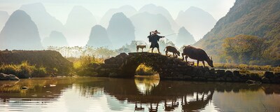 A man in a hat walks a dog and 2 cattle over a stone bridge spanning a river near groups of hills