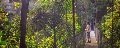 A man in a baseball cap stands on a rope bridge in the tree tops of Costa Rica