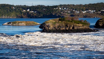 White water churns in a bay dotted by rocky islands with tree covered hillsides in the background