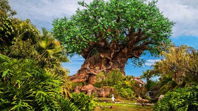 The Tree of Life at Disney’s Animal Kingdom theme park