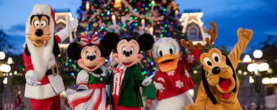 Goofy, Minnie Mouse, Mickey Mouse, Donald Duck and Pluto wearing Christmas outfits and posing in front of the Christmas tree at Main Street USA