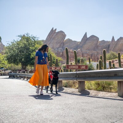 A woman and her service dog walk past Radiator Springs Racers, with the Cadillac Range Mountains in the background.