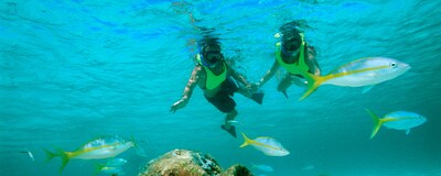 bahamas cruises search for disney cruise line bahamian cruises 0 0 view ...