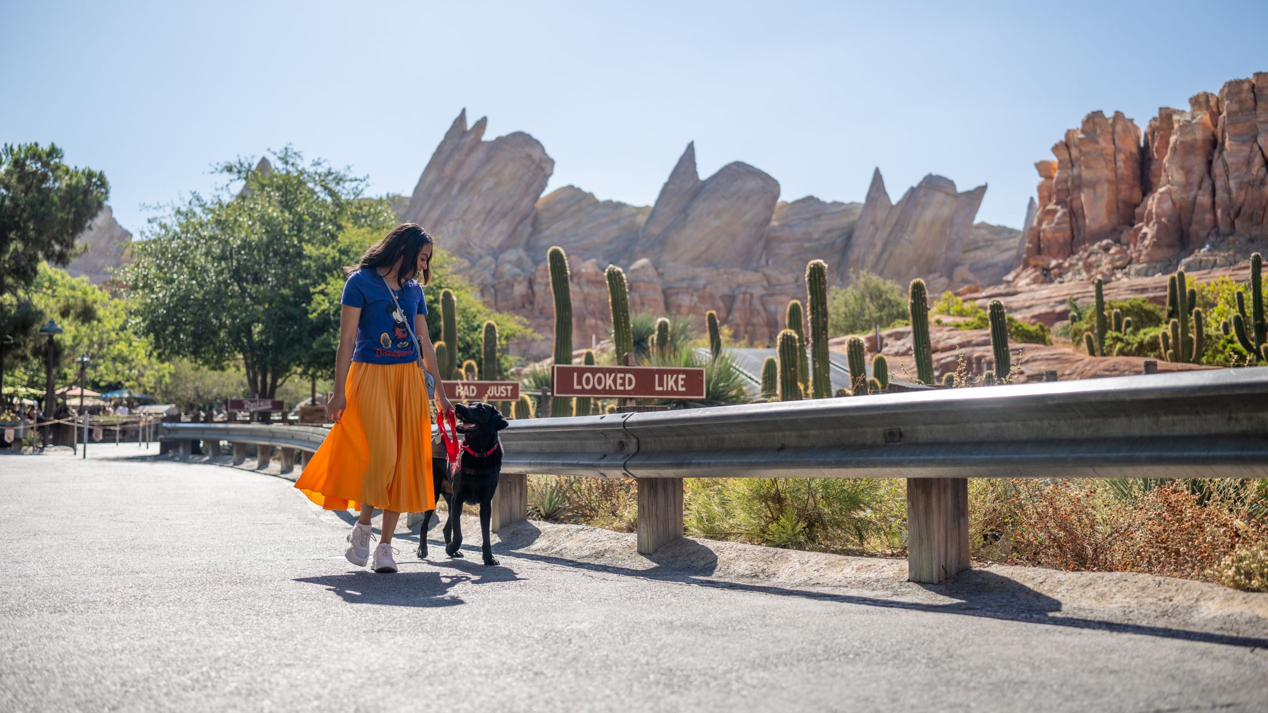 Una mujer y su perro de servicio caminan por Radiator Springs Racers, con las montañas Cadillac Range en el fondo.