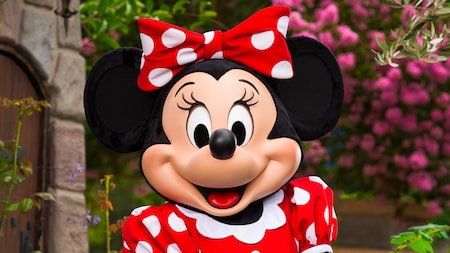 Minnie Mouse poses in front of flowers