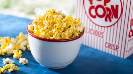 Disney's Animal Kingdom Theme Park