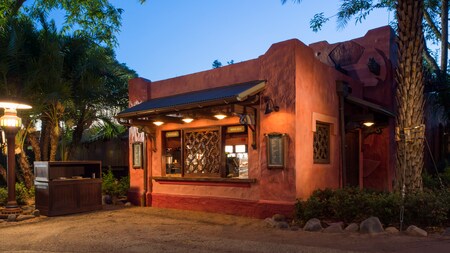 Disney's Animal Kingdom Theme Park