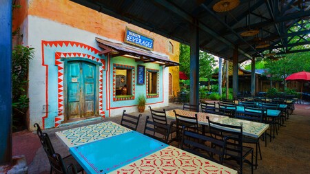 Disney's Animal Kingdom Theme Park