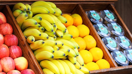 Disney's Hollywood Studios