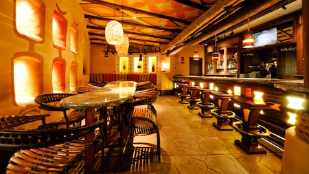 Disney's Animal Kingdom Resort Area