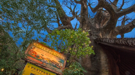 Disney's Animal Kingdom Theme Park