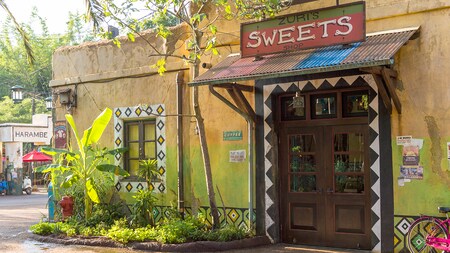 Disney's Animal Kingdom Theme Park