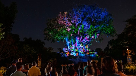 Disney's Animal Kingdom Theme Park