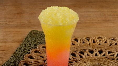 Disney's Animal Kingdom Theme Park