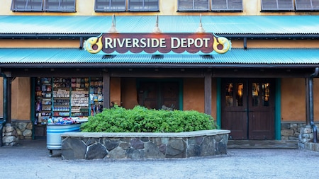 Disney's Animal Kingdom Theme Park