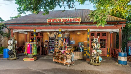 Disney's Animal Kingdom Theme Park