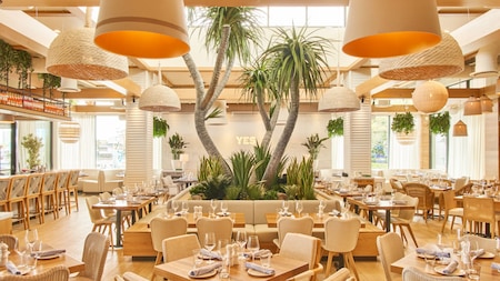 Several trees and other plants growing from the center of a large restaurant dining room