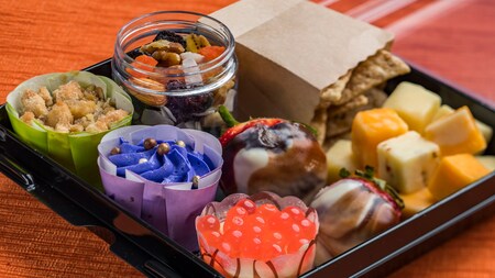 Tray with various snack-sized treats