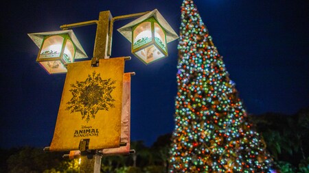 A Christmas tree with lit up ornaments along with a festive holiday street lamp that holds a Disneys Animal Kingdom theme park banner