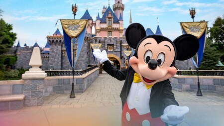 Personalised MONEY /GIFT CARD WALLET Card Disneyland Disney World