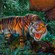 A fierce tiger bares its teeth in the dark jungle