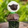 The Cotton Top Tamarin Cupcake features the face of the tiny, endangered South American monkey