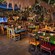 Tropical foliage hanging over tables and chairs