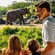 A family of 5 looking at an elephant during Savor the Savanna at Disney's Animal Kingdom Park