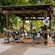 Beachcomber Shack 5, a shaded private cabana with lounge chairs at Disney's Typhoon Lagoon water park