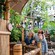 A family of four looking at an ostrich at Adventureland Treehouse inspired by Walt Disney's Swiss Family Robinson