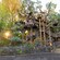 Adventureland Treehouse inspired by Walt Disney's Swiss Family Robinson