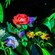 Animated flowers inside of Alice in Wonderland