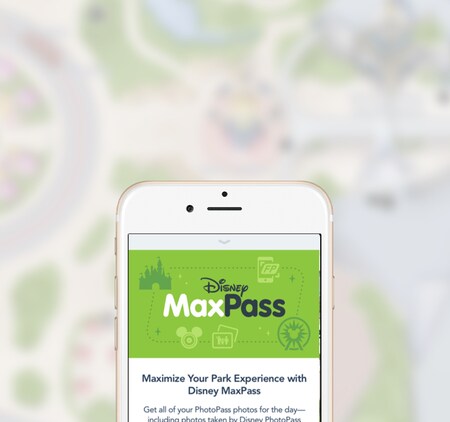 Disneyland 174 Official Site