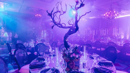 A ballroom decorated for a villains-themed party featuring dead trees, cobwebs and fog