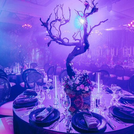 Un salón de baile decorado para una fiesta temática de villanos con árboles secos, telarañas y niebla