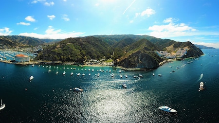 An aerial view of Catalina Island, showing the casino and many nearby boats