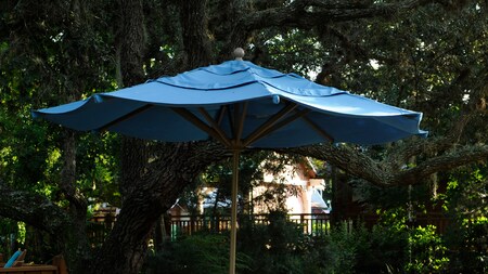 An umbrella under trees