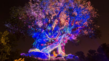 The Tree of Life illuminated at night