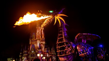 Residentes De La Florida Tickets Pases Y Ofertas Especiales