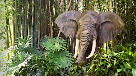 A trumpeting elephant on the Jungle Cruise attraction