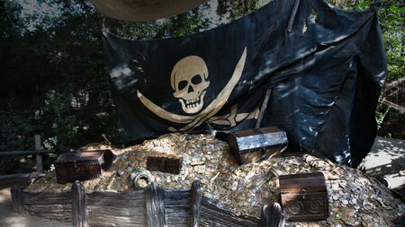 A pile of coins at Pirate's Lair on Tom Sawyer Island
