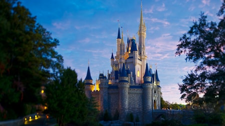 El castillo Cinderella Castle en el Parque Temático Magic Kingdom rodeado de árboles con luces iluminando las torres.