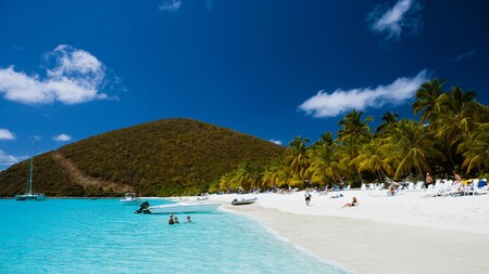 Guests lazing on lounge chairs and relaxing in the water of a lush beach lined with palm trees