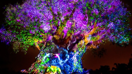 Projection effects bring the iconic Tree of Life at Disney’s Animal Kingdom park to life at night
